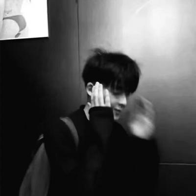 Furry插画风格打造FurryQQ群